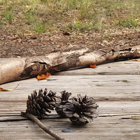 Meet your Posher, Darlee C.  Poshmark Ambassador - Picture 10 of 16